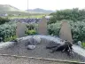 Inscribed stones in the John Lennon Memorial Garden at Durness Village Hall, Scotland